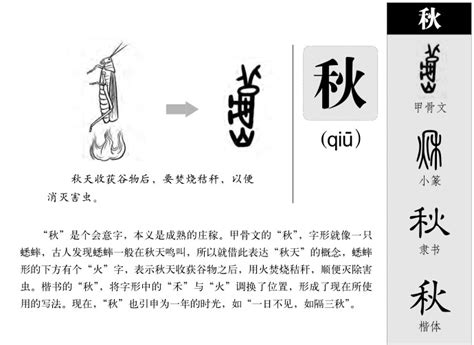 秋字五行|秋的五行属什么,秋字的五行属性,秋的寓意